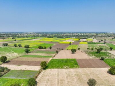 Premium Residential Plots on Kharar–Kurali Road