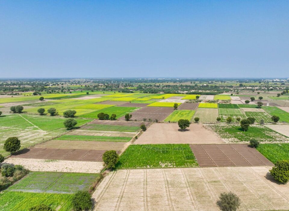 Residential Plots on Kharar–Kurali